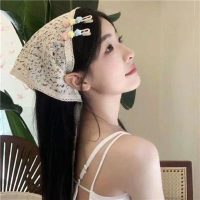 最后的维米尔