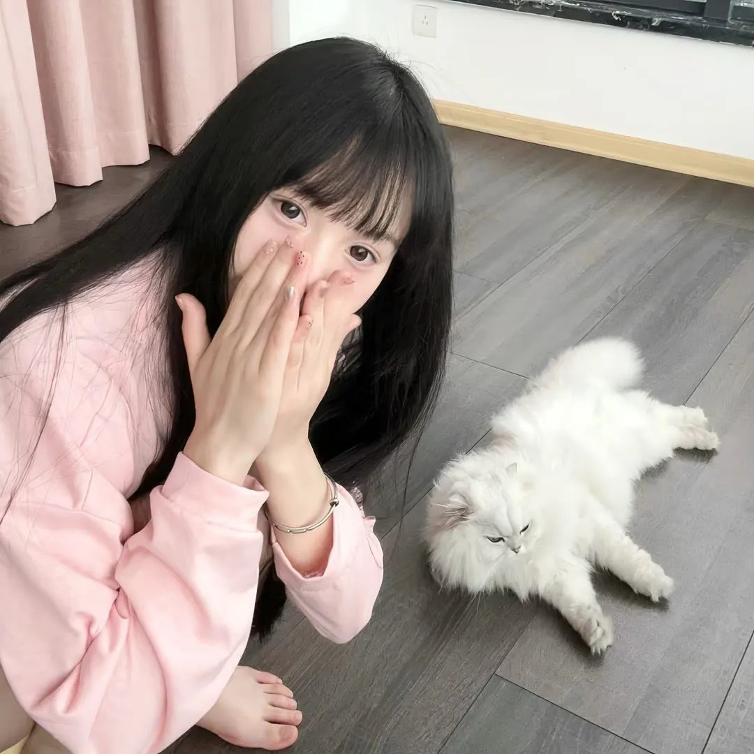 美的世界